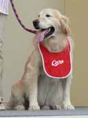 ¡“ú‚à‹‚¢‚È‚Ÿ