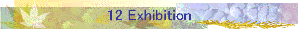 12 Exhibition