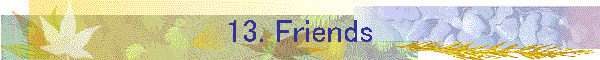 13. Friends